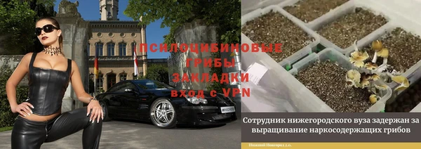 кокс Баксан